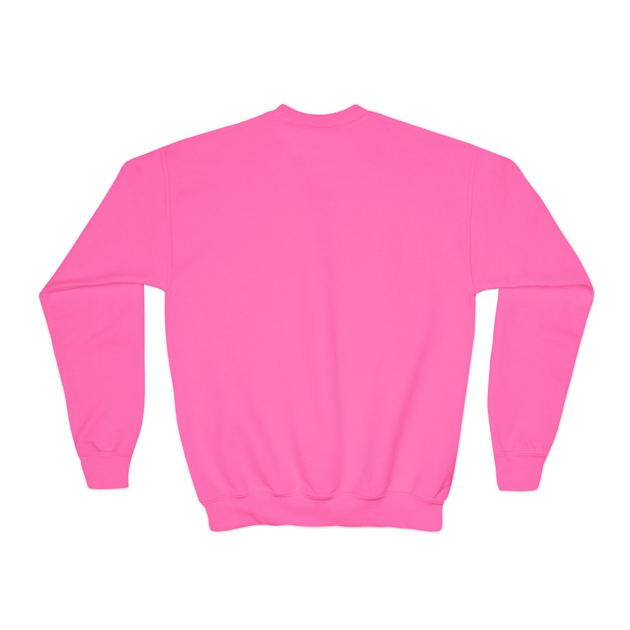Youth Crewneck — Raptors Foundation Logo Sweatshirt