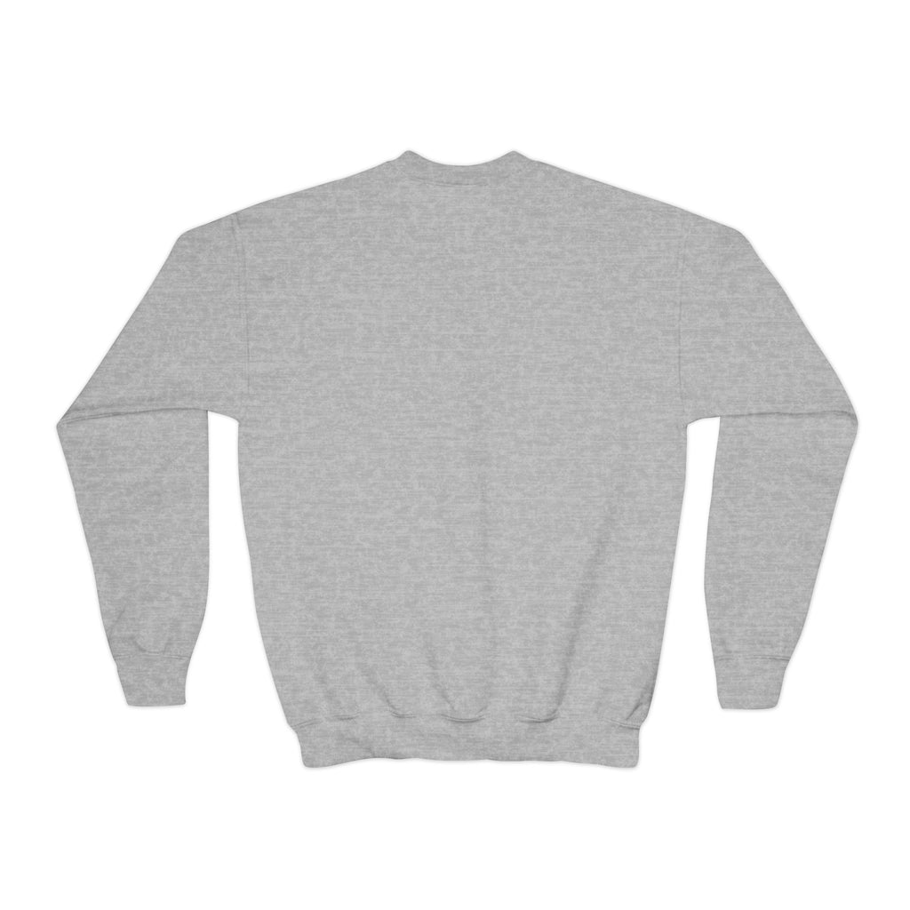 Youth Crewneck — Raptors Foundation Logo Sweatshirt