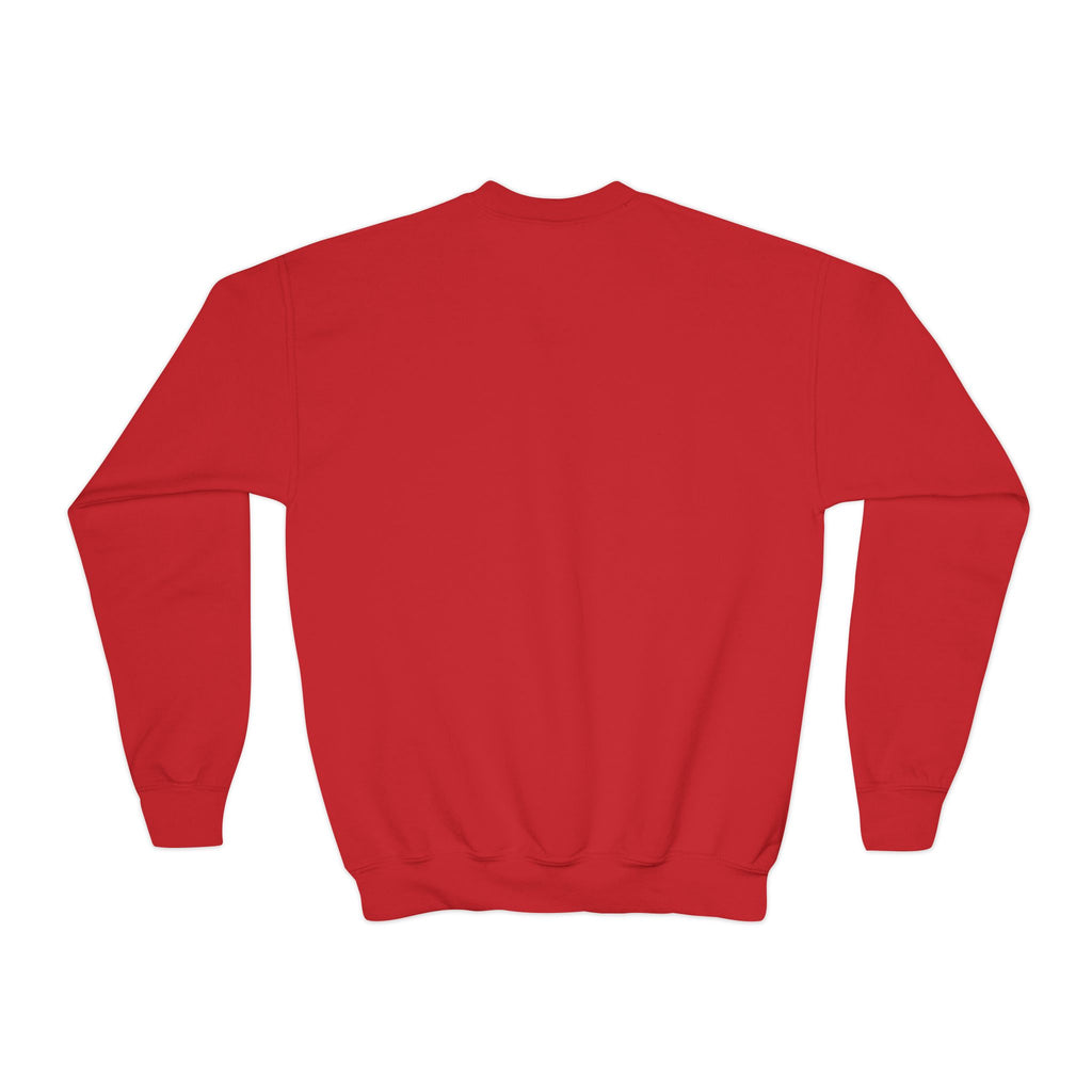 Raptors Youth Crewneck Sweatshirt — Kids Basketball Team Logo Pullover